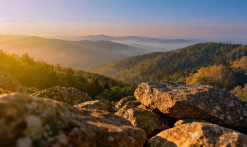 Защита окружающей среды