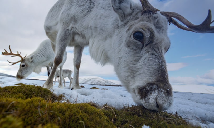 Защита окружающей среды